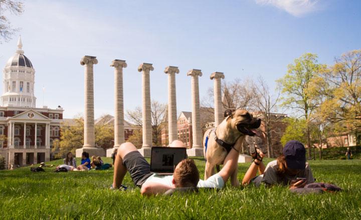 学生和狗在弗朗西斯四合院圆柱附近的草地上休息